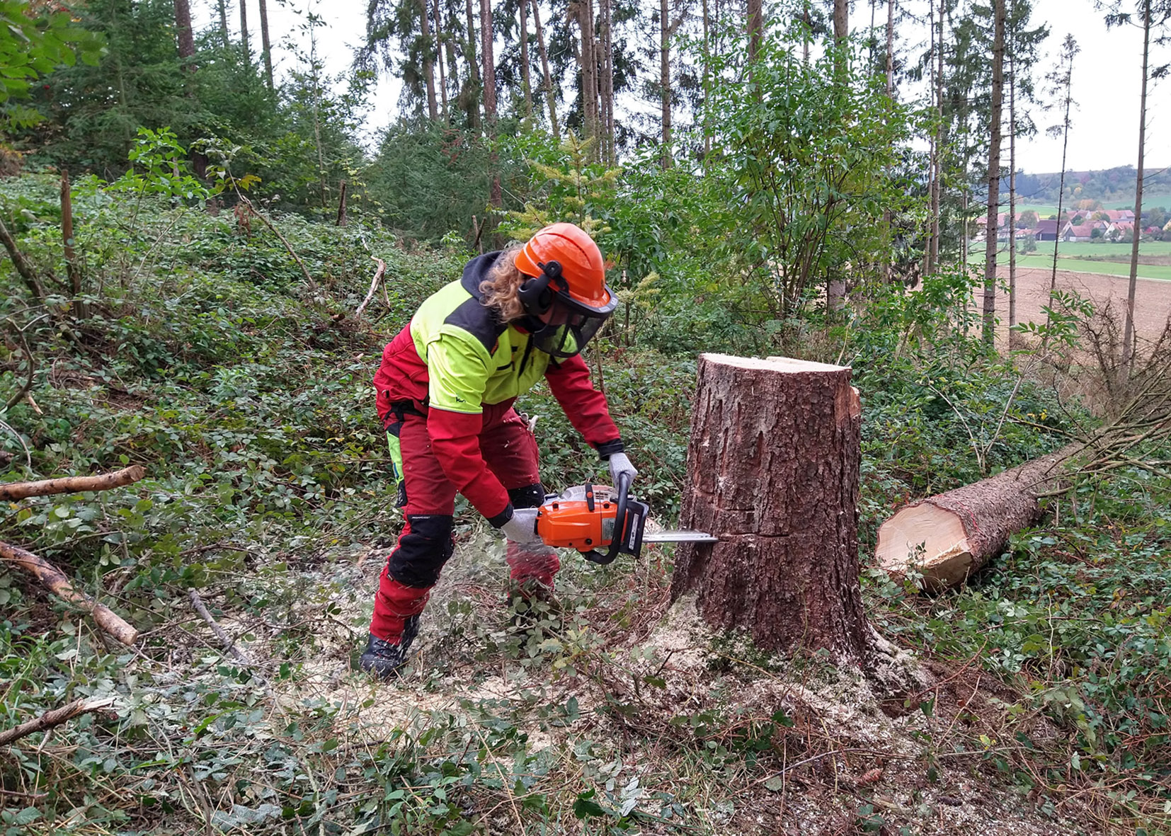 Motorsägenkurs_Foto_web Motorsägenkurs_Foto_web